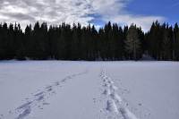 Unsere Spuren im Schnee