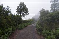 El Bastón - am 2.Tag ist es windig und es regnet