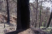 Wanderung in der  Caldera de Taburiente | Teneriffa/La Palma 2024