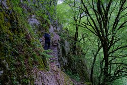 Vikos Schlucht