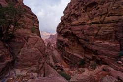 Am Weg zum Opferplatz - Petra