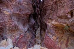 enge Schlucht - Petra