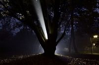 Nacht