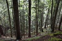 National Park Sutjeska