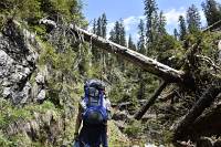 Auf den Weg zur Lackenhütte