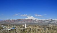 Ararat