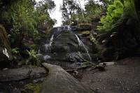 Wanderung von der Sheoak Picnic Area - Henderson Falls