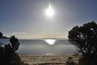 Freycinet Camping Platz am Strand