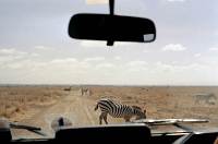 Nairobi National Park