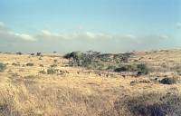 Nairobi National Park