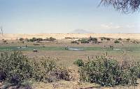 Amboseli-Nationalpark