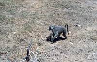 Amboseli-Nationalpark