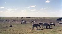 Amboseli-Nationalpark