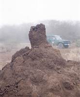 Amboseli-Nationalpark