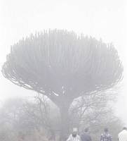 Amboseli-Nationalpark