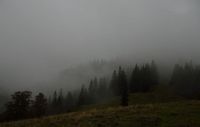 Aufstieg bei Regen, Nebel und Wind