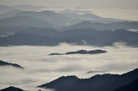 Dunst und Nebel im Tal