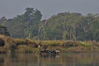 Chitwan - wir machen eine Einbaumboot-Fahrt