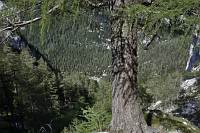 Schnell gewinnen wir an Höhe, der Teufelssee zeigt sich noch einmal kurz